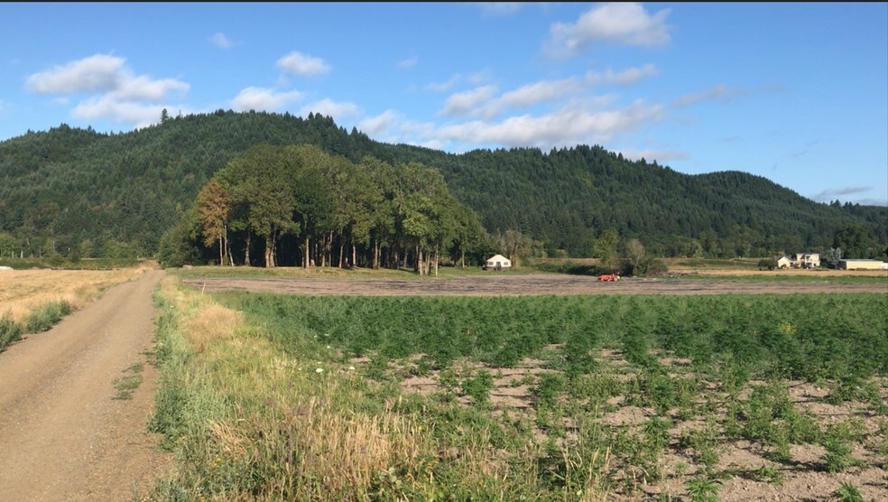 More Photos Of NW Sauvie Island Rd @ NW reeder rd, Portland Land For Lease