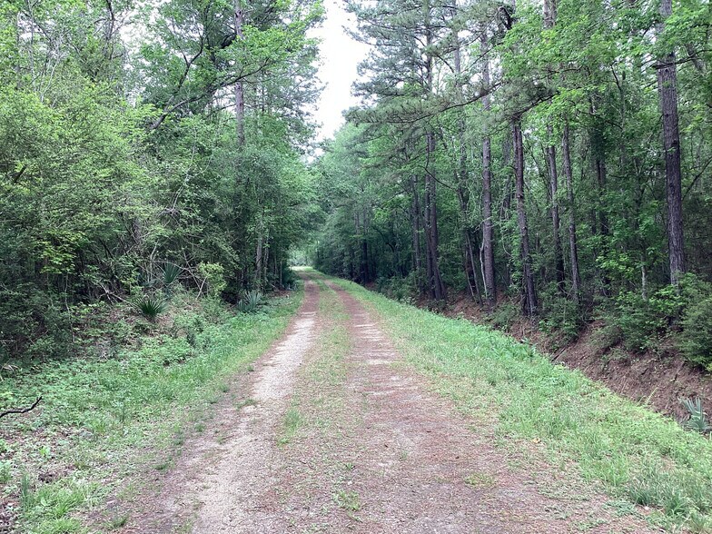 More Photos Of 0 County Road 4876, Dayton Land For Sale