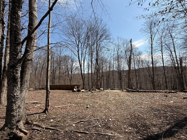 More Photos Of 127 Blum Rd, Equinunk Land For Sale