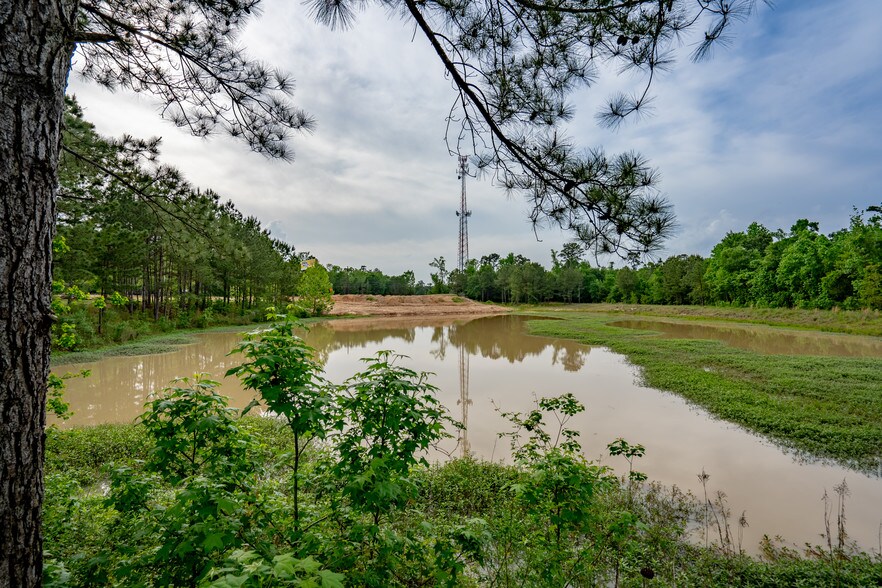 More Photos Of 28250 Fm-2978, Magnolia Medical For Lease