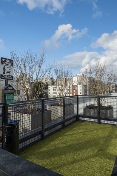 More Photos Of 104 12th Ave, Seattle Apartments For Lease
