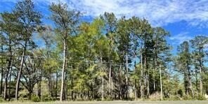 More Photos Of HWY 1088, Mandeville Land For Sale