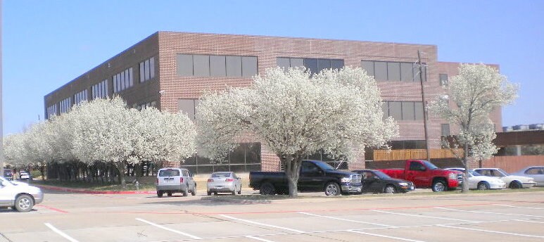 More Photos Of 600 E Taylor St, Sherman Office For Lease