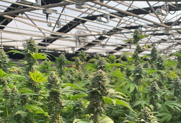 More Photos Of 26800 Encinal Rd, Salinas Manufacturing For Lease