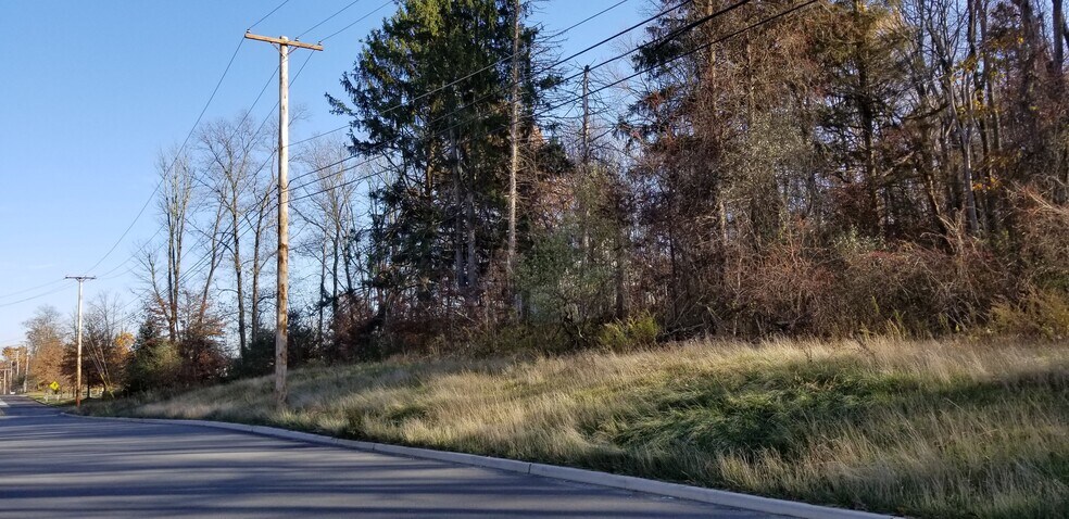 More Photos Of 217 Waterloo Valley Rd, Mount Olive Land For Sale