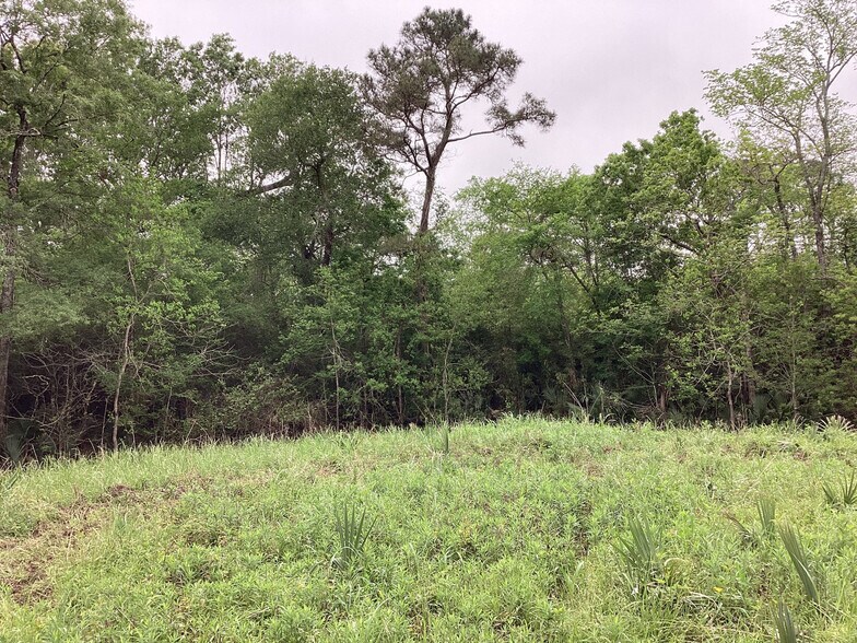 More Photos Of 0 County Road 4876, Dayton Land For Sale