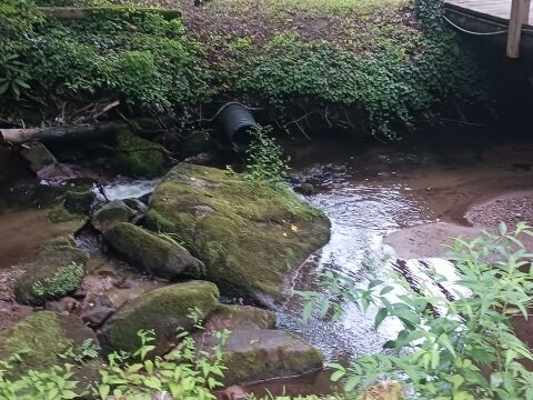 More Photos Of 4259 Pickens Hwy, Rosman Hospitality For Lease