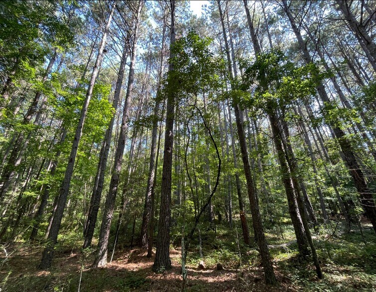 More Photos Of 0 Highway 83 North, Jefferson Land For Sale