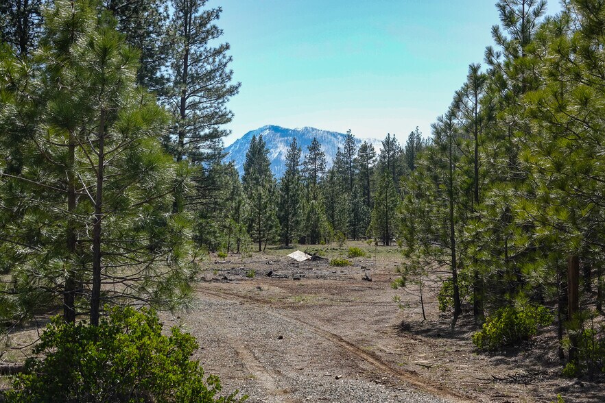 More Photos Of 6409 Kangaroo Creek Rd, Gazelle Land For Sale