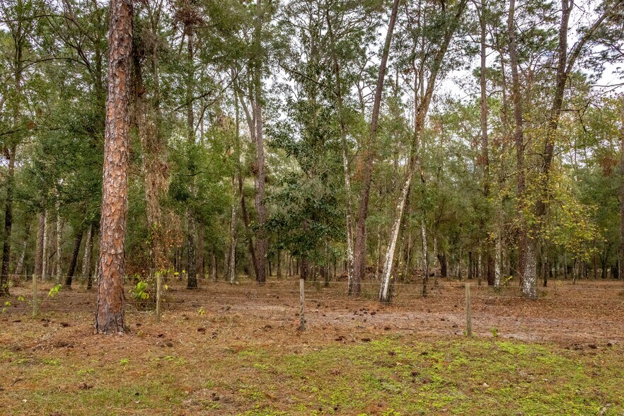 More Photos Of 24091 Richbarn Rd, Brooksville Land For Sale