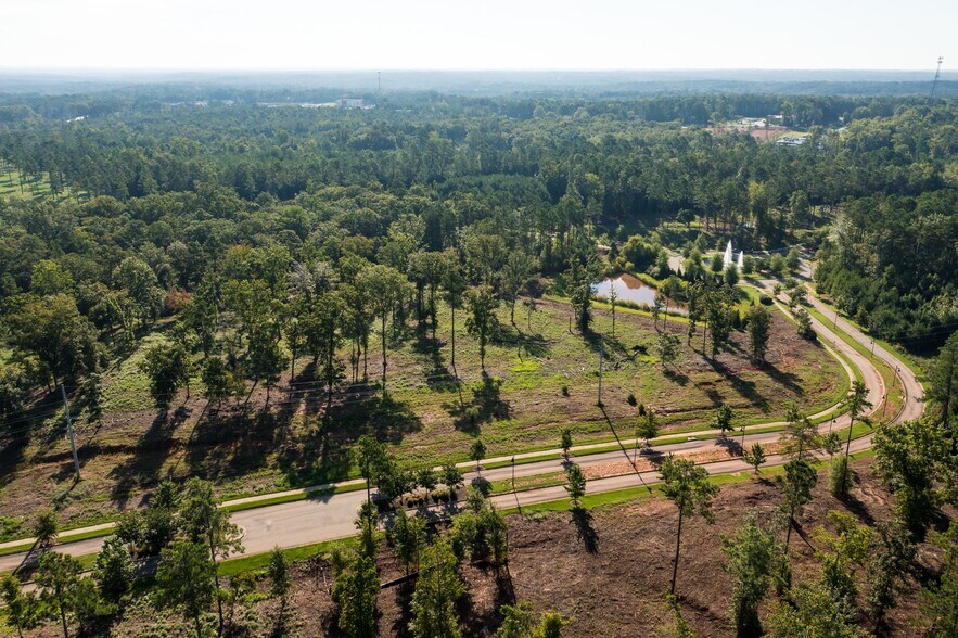 More Photos Of 301 Brighton Blvd, Chapin Land For Sale