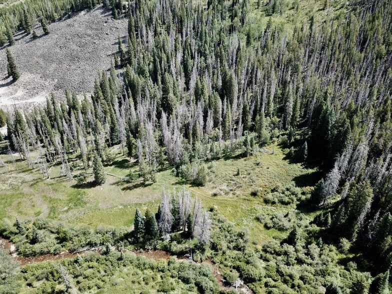 More Photos Of Tbd Ski Idlewild Rd Tract G, Winter Park Land For Sale