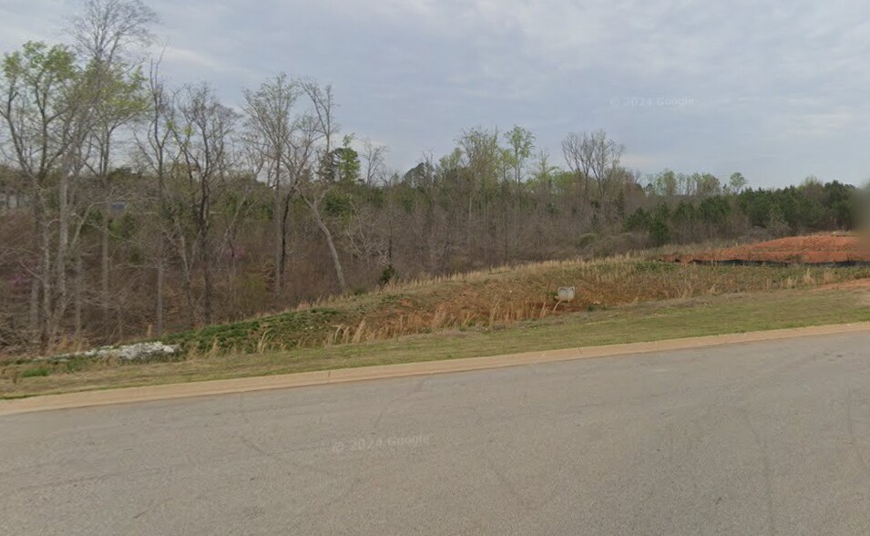 More Photos Of Lemmons Lane & Baxter Road, Gaffney Land For Sale