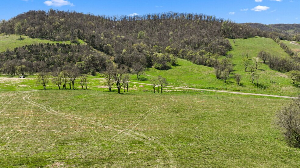 More Photos Of 0 McLaughlin Rd, Shelbyville Land For Sale