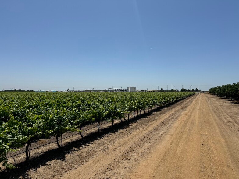 More Photos Of 25203 Road 212, Lindsay Land For Sale