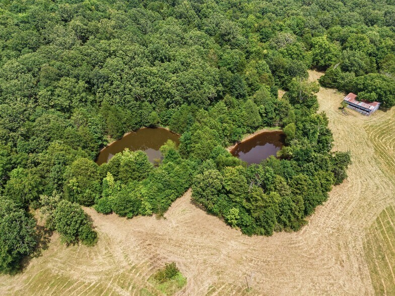 More Photos Of 11373 Colcleasure Rd, Fayetteville Land For Sale