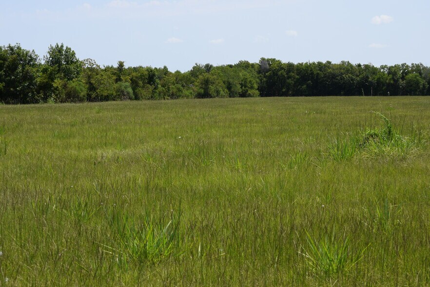 Primary Photo Of 9621 FM 521, Rosharon Land For Sale