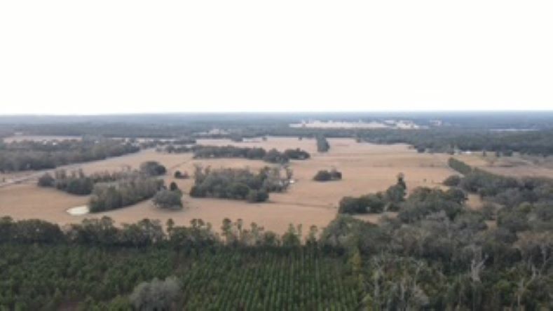 More Photos Of 10602 NW 143rd St, Alachua Land For Sale