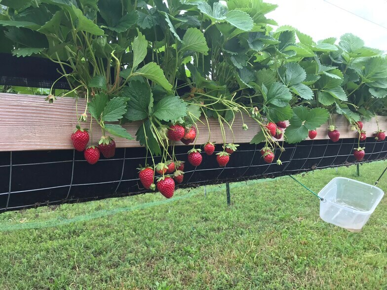 More Photos Of 552 Lick Creek Rd, Leasburg Land For Sale