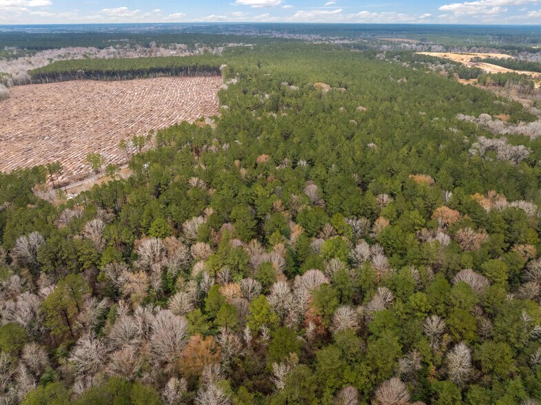 More Photos Of TBD 11 acres Tatoo Rd, Glenmora Land For Sale