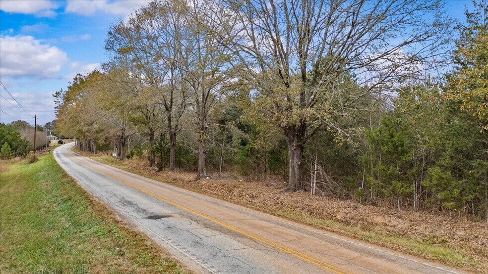 More Photos Of 2016 Hwy 417, Woodruff Land For Sale