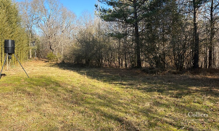 More Photos Of 00 Painter Road Rd, Pelzer Land For Sale