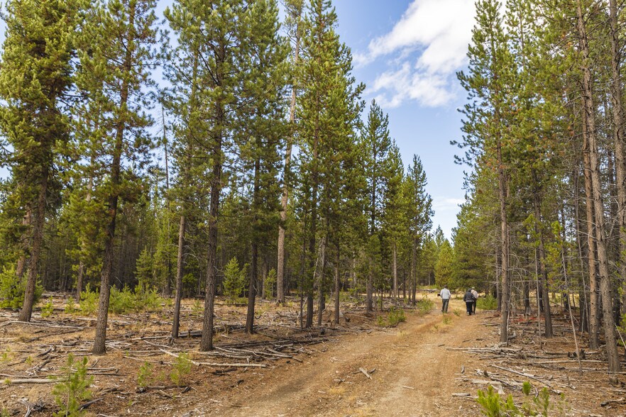 More Photos Of US Forest Service Rd, Silver Lake Land For Sale
