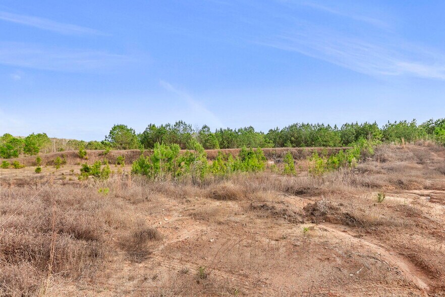 More Photos Of 16.31+/- AC Franklin Parkway Franklin GA 30217, Franklin Land For Sale