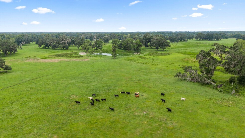 More Photos Of CR 774, Webster Land For Sale