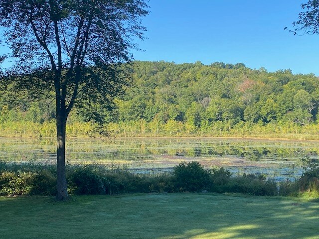 More Photos Of 152 Lily Lake Rd, Highland Land For Sale