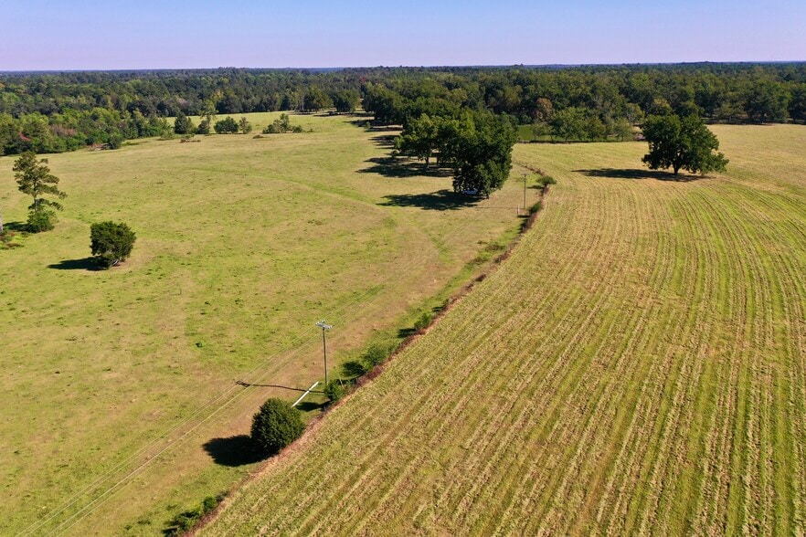 More Photos Of 20th Street @ Hwy 188, Cairo Land For Sale