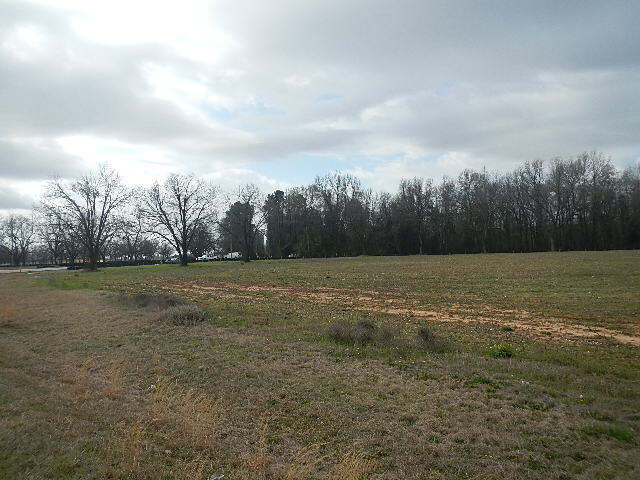 More Photos Of 1130 W White Rd, Byron Land For Sale