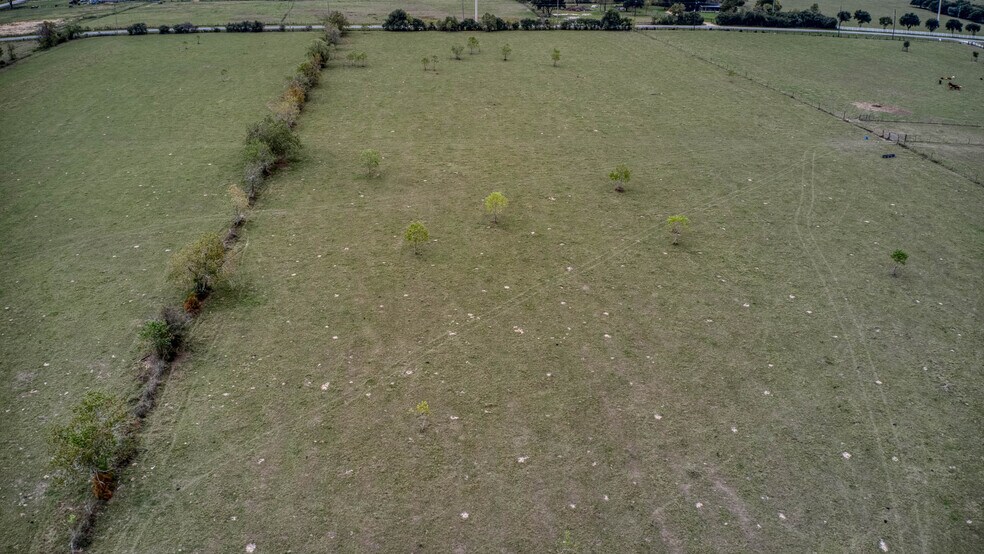 More Photos Of 17153 FM 362, Waller Land For Sale