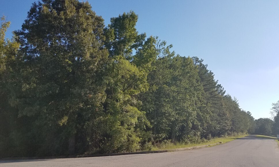 More Photos Of Thames Ave @ Three Notch Road, Lexington Park Land For Sale