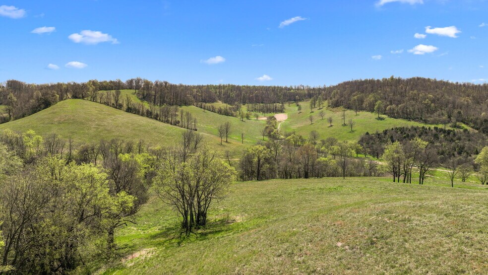 More Photos Of 0 McLaughlin Rd, Shelbyville Land For Sale