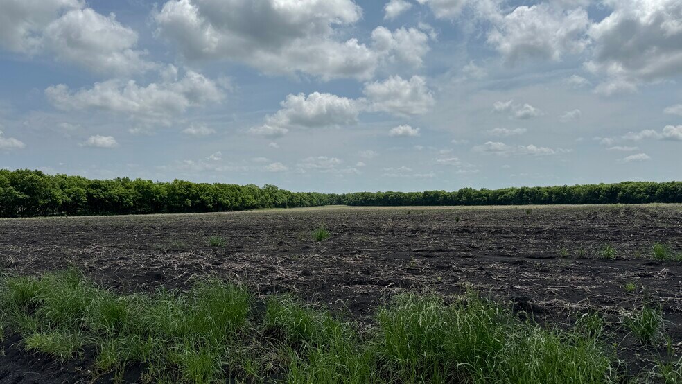 More Photos Of 9024 FM 64, Pecan Gap Land For Sale