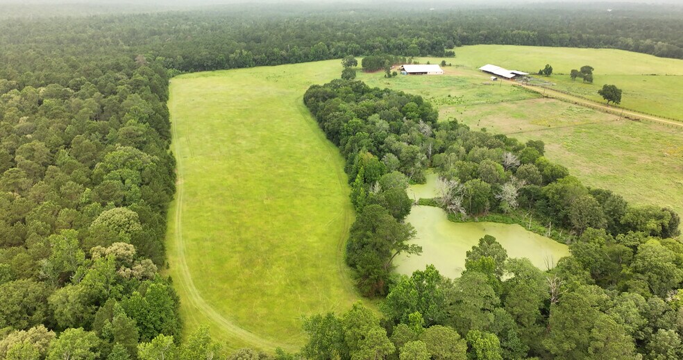 More Photos Of 44 Bucking Bull Rd, New Waverly Land For Sale