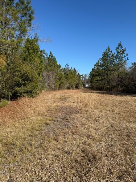 More Photos Of 0 Sniders Hwy, Walterboro Land For Sale