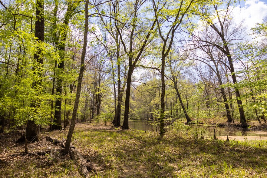 More Photos Of US 63, Junction City Land For Sale