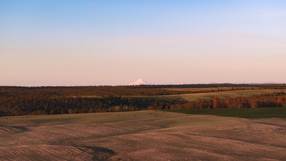 More Photos Of 81338 Rail Hollow Rd, Dufur Land For Sale