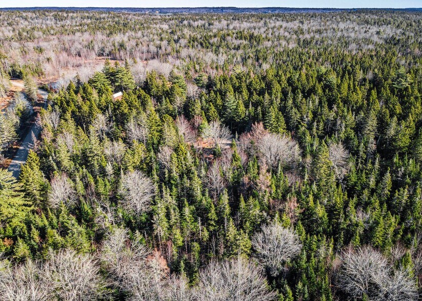 More Photos Of 175 Chicken Mill Pond Rd, Gouldsboro Winery Vineyard For Sale