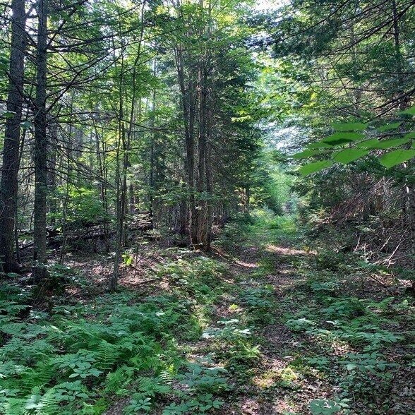 More Photos Of 341 US Route 1, Weston Hotel For Sale