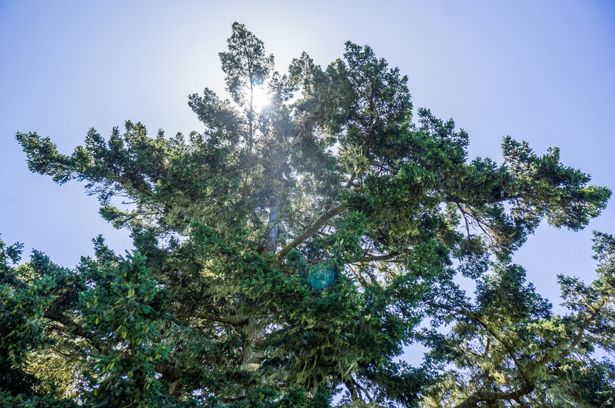 More Photos Of 16401 South Highway 1, Manchester Land For Sale