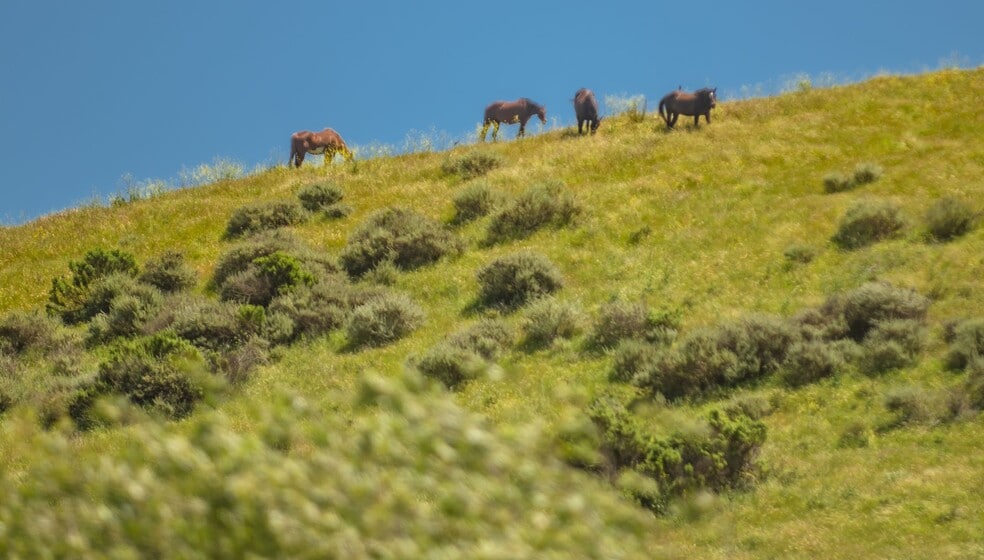 More Photos Of 3500 Sweeney Rd, Lompoc Land For Sale