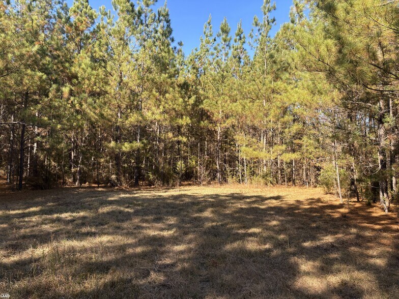 More Photos Of 0 Old Beatty Ford Rd., Gold Hill Land For Sale