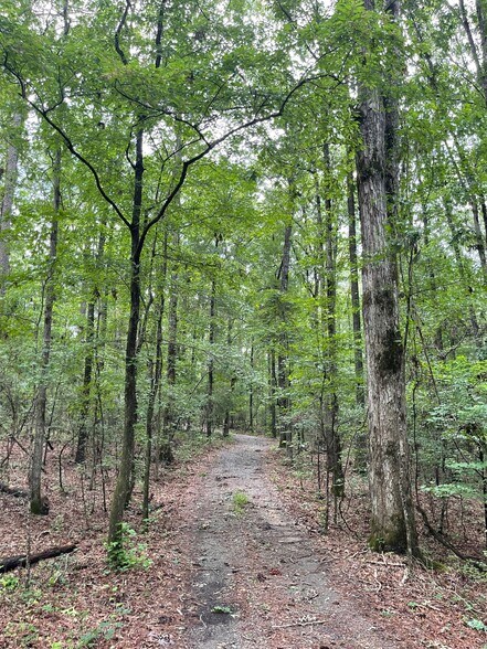 More Photos Of 17796 Dry Branch loop, Northport Land For Sale