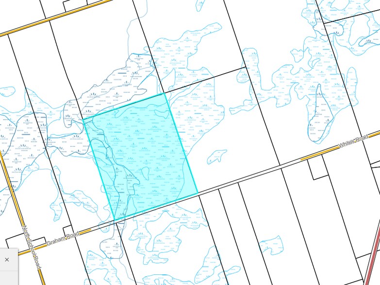 More Photos Of 14 Concession, Selwyn Land For Sale