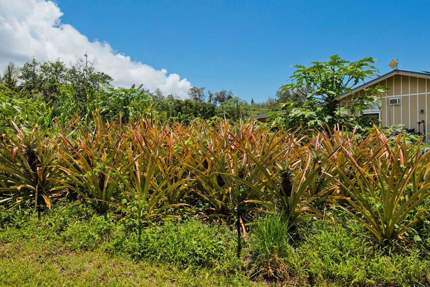 More Photos Of 13-2060 Lolia Pl, Pahoa Multifamily For Sale