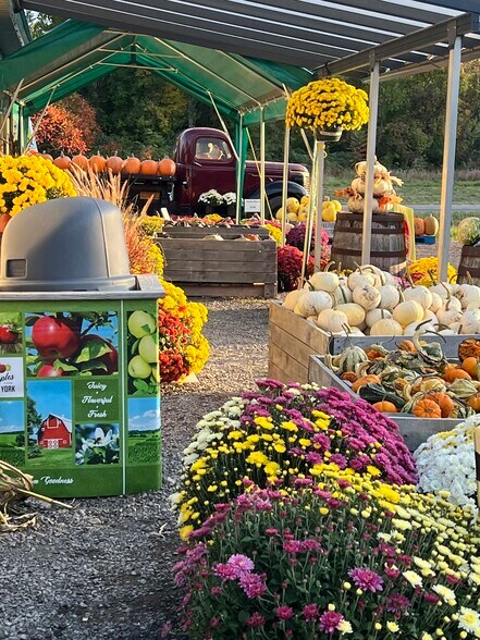 More Photos Of 5630 Norris Ave, North Rose Land For Sale