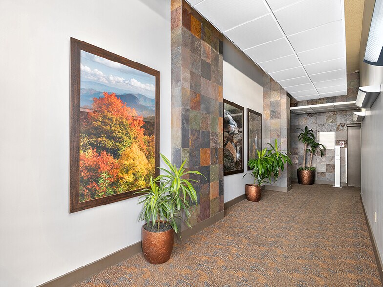 More Photos Of 14 S Pack Sq, Asheville Office For Lease